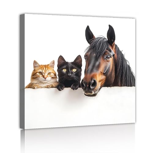 Toile chat et cheval 50x50cm décoration murale moderne affiche de peinture salon