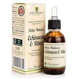 Sciroppo Difese Immunitarie Bambini echinacea e ribes 50ml, favorisce il benessere delle prime vie respiratorie, Sciroppo naturale per bambini - made in Italy