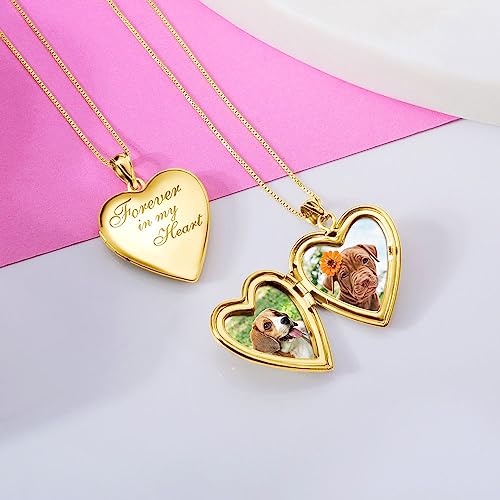 Picturesongold.com Forever In My Heart Locket Necklace - Custom Necklaces For Women Personalized & Engraved Picture Locket Necklace With 18” Chain Necklace Sterling Silver Or Yellow Gold Filled (Yellow Gold Filled, Locket + 1 Photo) #TOP2
