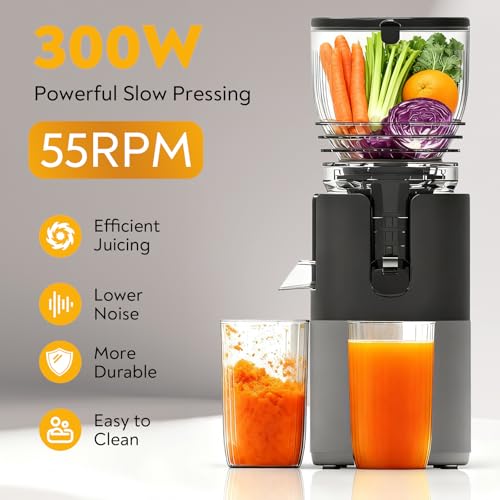 Cold Press Masticating Juicer Machine