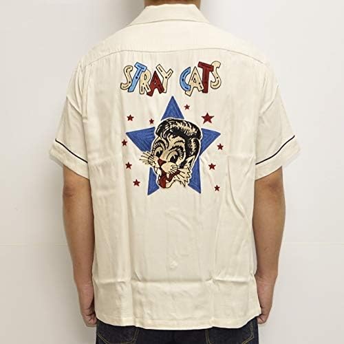 cat i found this humerus