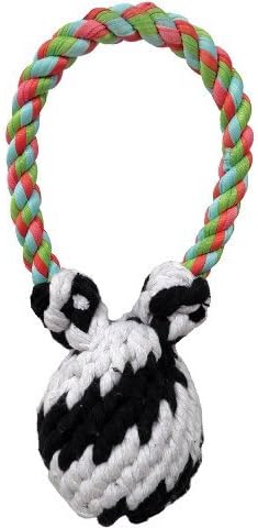 Fancy Feline Large Super Squeaker Bear Rope Tug Toys44; 9 in.