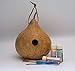 Gourd Birdhouse, Unfinished, Create Your Own Birdhouse