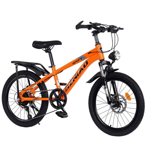 18C`20C`22C`qp]ԃ}EeoCNj̎qpE哶py_]ԏ̎qp (_Ci~bNIW,18C`ig120`140cmj) [sAi]