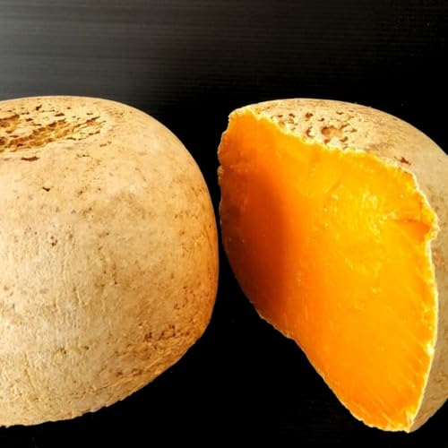 ELITE SELECTION tXY OXtFbh ~bg 18nb؂肽Ă̔ZȎ|ƍ΂bCibcƊyґn[h`[Y French Grass-Fed Mimolette 18 Months AgedbFreshly