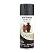 Rust-Oleum 7991830 Stone Creations Spray, 12 oz, Black Granite