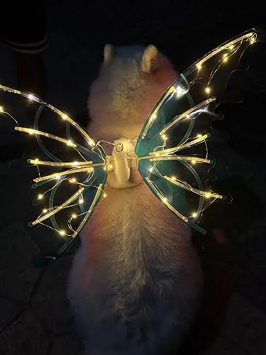 Alas luminosas para perros medianos y grandes con luces LED miniatura 6