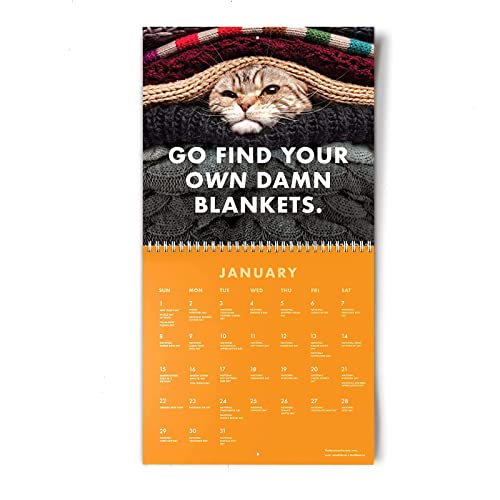Cats Calendar, 2023 Kittens Hangable Monthly Wall Calendar 9.5*9.0In Funny Cats Calendar Thick & Sturdy Paper Monthly Format Cats Wall Calendar Kids Cute Kitten Cat Gift For Cat Lovers #TOP3