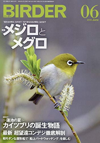 無料電子書籍 アプリ BIRDER(バーダー)2019年6月号 メジロとメグロ バイ