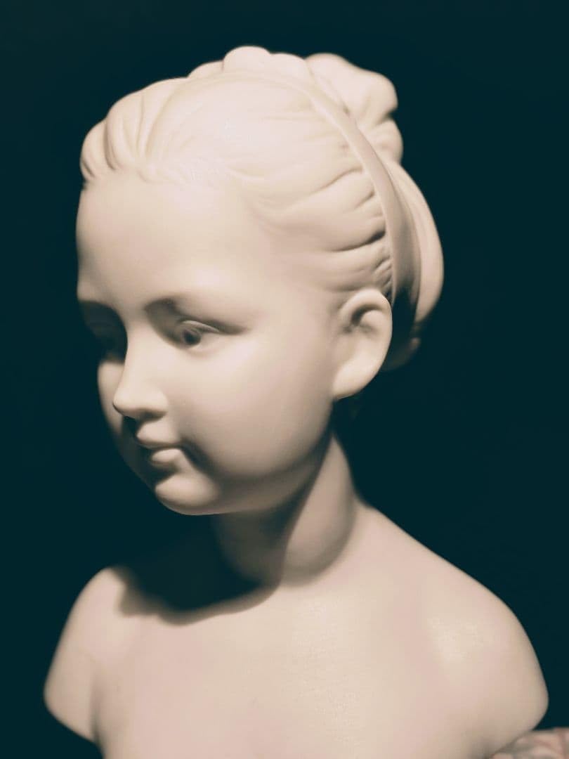 18 壁飾り 七転八起 銘木屋久杉工芸品 インテリア家具 世界遺産 焼き