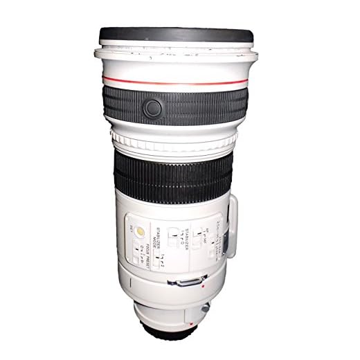 Canon EF 300mm f/2.8L Telephoto Lens