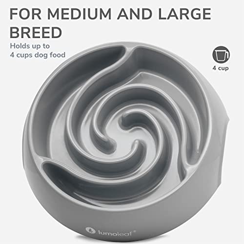 LumoLeaf Antischlingnapf Hunde Groß, Ø 22 cm, rutschfest Hundenapf, Schwerer Fressnapf, Entlastet die Verdauung, Anti Blähungen Futternapf Hund, Slow Feeder Dog Bowl (Tornado-Grau, L)
