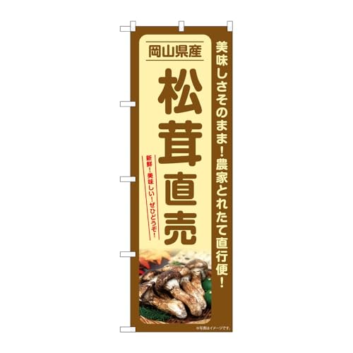 ̂ڂ艮H[ ̂ڂ 131701 RY W600×H1800mm 1 OO ̑ ɐ 󒍐Yi