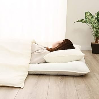 Amazon｜ニトリ(NITORI) 羽根枕 中 ヴィール2 MID 7550397｜枕