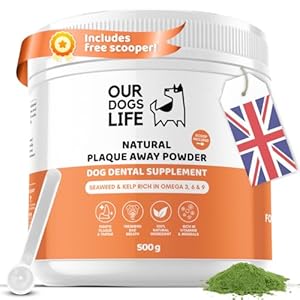 Plaque Off Pulver für Hunde – 500 g | Bio-Hundezahnreinigungsprodukt | Zahnsteinentferner & Atemerfrischer | 100% natürlicher Hundeplaque-Entferner