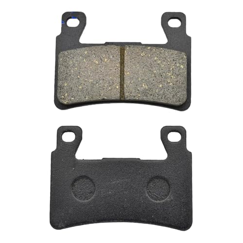 Plaquettes de frein moto pour virées en CBR954RR et trajets CB1300