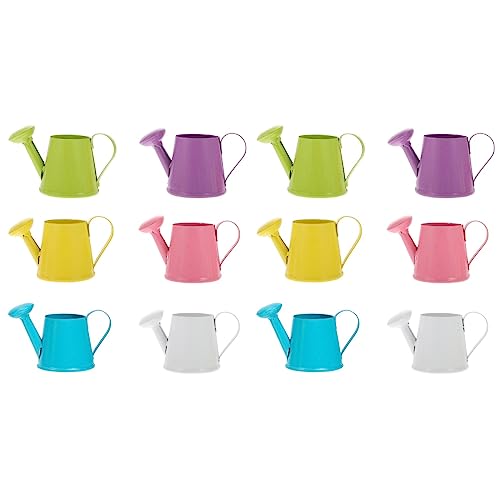 LOGOFUN 12 Pcs Mini Watering Can Miniature Iron Wa