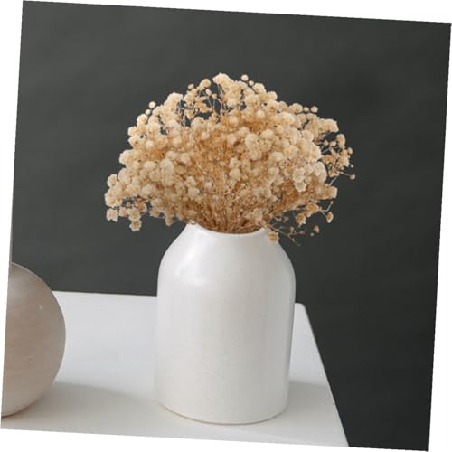 Ramo de Flores Secas Breath Flowers 6 piezas 12 cm miniatura 6