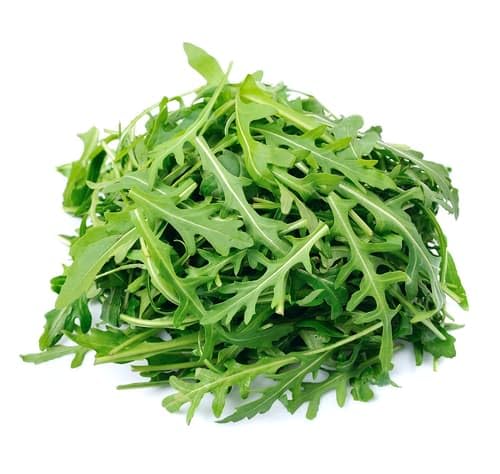 Rucola Schale 80 g