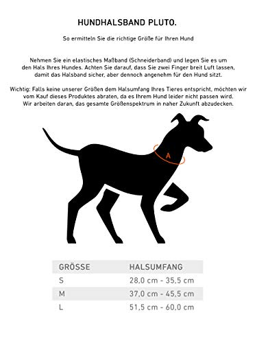 Jack & Russell Cani Collare de Cuoio Pluto - Vera