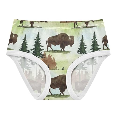 Cotton Toddlers Underwear Floral Brown Bison Forest Trees Panties for Girl Bright Briefs Girls Undies 2t
