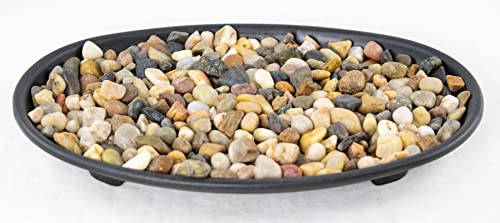 Calibonsai 1 Oval Black Plastic Humidity/Drip Tray for Bonsai Tree and House Indoor Plants + Rock...