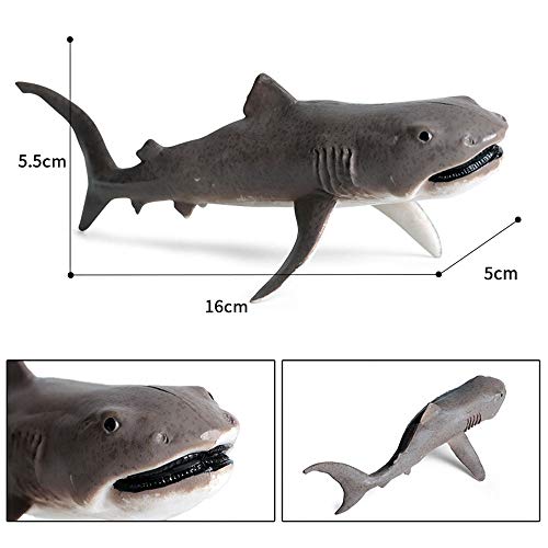 FLORMOON Megamouth Shark Figurine Realistico