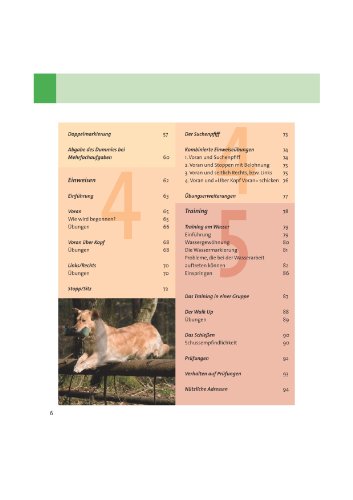 Dummy-Training (Die Hundeschule)