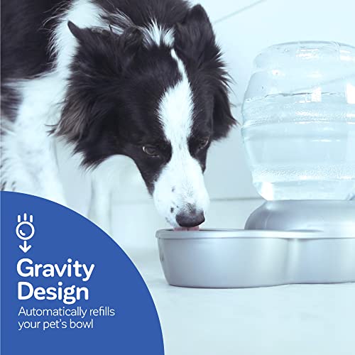Petmate Replendish Gravity Waterer Cat and Dog Water Dispenser 0.5 GAL - Image 7