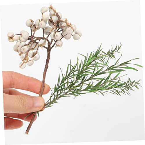 Flores secas DIY para manualidades decoración y proyectos miniatura 5