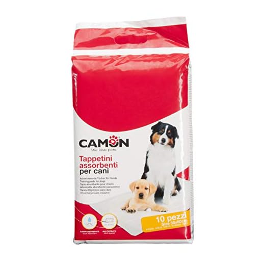 Camon Empapador abosrvente 60x90cm 10pz 30 ml