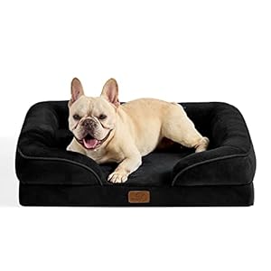 Bedsure Sofá Perro Ortopédica Mediano – Cama Perro Viscoelastica y Lavable, Colchon Perro con Funda Desenfundable y Forro Impermeable, Negro, M