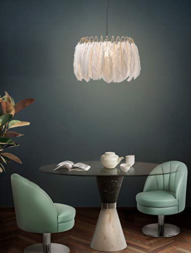 Lustre suspendu plumes solution deco sans travaux avec prise