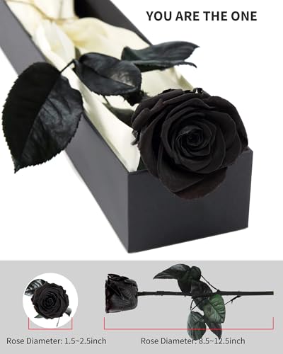 Image of Flowers for Delivery Prime, Preserved Roses Flower Gifts for Women, Real Roses Single Rose Presents for Her, Mom Birthday Gifts from Daughter, Valentines Flowers Black Rose
