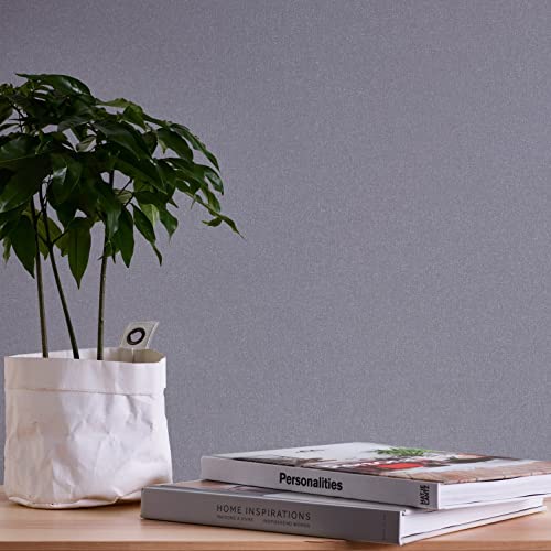 A.S. Création Terra 389258 Papier peint intissé Uni Gris 10,05 m x 0,53 m Fabriqué en Allemagne