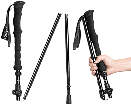 AEWFRRV Alpenstocks Bâton de randonnée pliable de voyage avec étui de transport Canne pliable réglable Aide à la mobilité portable