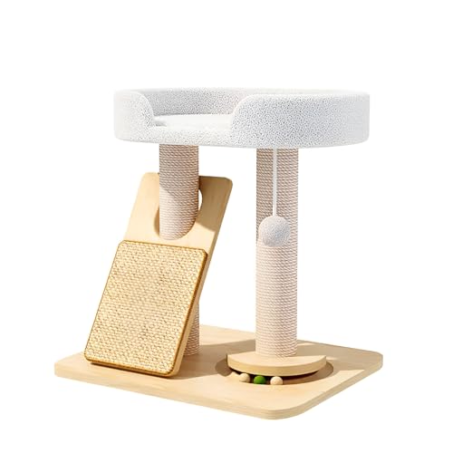 [Maidisly]y^ ȁz yLbg^[zƃLbgnEX lGΉ\ ؐ ?܌ ]Օt L̂߂̈SVя pB