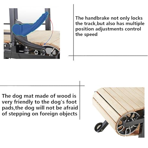 Dog Treadmill Training Tips