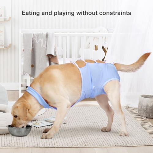 Image of WAYUTO Breathable Cotton Dog Recovery Suit Dog Strap Post-Operative Clothing Adjustable Back Straps Protective Gown for Neuter Pets After Surgery Cuttable Opening Vent Freedom of Movement Blue S