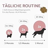 PUURY® Probiotika-Komplex für Hunde für eine ausgewogene Darmflora | Leckere Snacks zur Darmsanierung | Mit Flohsamenschalen, Prä- und Probiotika, Lachsöl | 90 Leckerlis (270g), 3 Monatsvorrat