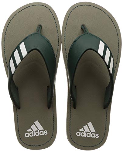 Coset Shoe