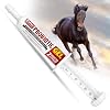 Jeffers IverPro 2 Pack Ivermectin Plus Probiotic Paste for Horses | 1.87% Ivermectin Dewormer Gel & Digestive Support Oral Gel | Broad-Spectrum Parasite Control | Safe for Foals, Mares & Stallions