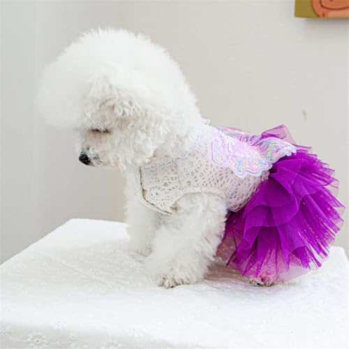 Disfraz Vintage para Perro Vestido de Tul Mariposa XL miniatura 5