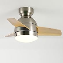 oltao Theo 2 Ceiling Premium Deluxe Fan, Spacesaver 26" Ceiling Premium Deluxe Fan, Brushed Steel Finish with Wooden Finis...