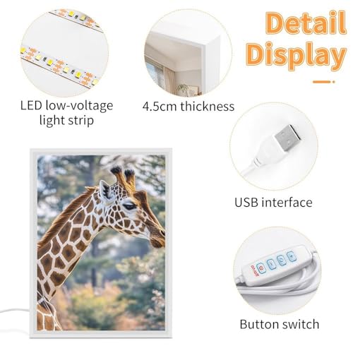 Miroir de beauté portable éclairé avec trois modes d'éclairage de couleur