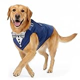 AVERYDAY 2 Pcs Dog Tuxedo & Bandana Set, Dog Suit Costume with Bowtie for Wedding Outfit, Pet Tux Harness with Leash Ring for Party Birthday Christmas, Formal Wear for Small Medium Large Breed