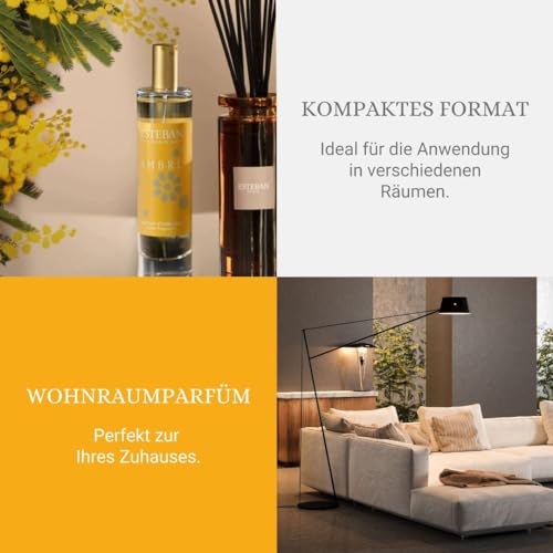 Esteban Paris Ambre Raumspray 75ml NEU Y