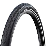 Schwalbe