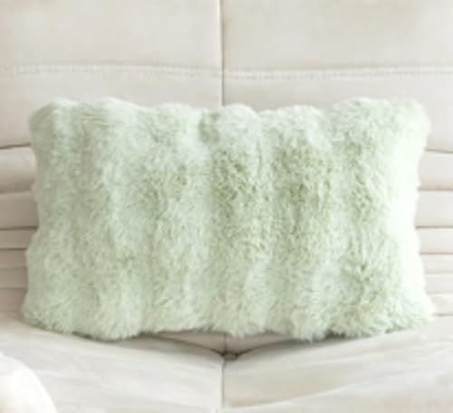 ChoyClit 2ピースの豪華なクッションカバーセット、マイクロファイバーのジッパー付き枕カバーと枕の中身、かわいい、秋冬に最適、暖かい、厚手、ふわふわ、着脱簡単、柔らかい、洗える、防寒、ふわふわ、吸湿発散性、発熱性、お昼寝に最適 (30*50cm枕カバ