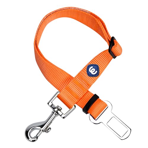 Blueberry Pet Dog Leash Puppy Essentials Seat Belt Tether for Dogs Cats, Florence Orange, Heavy Duty Dog Leashes for Large Dogs - Safety for Pet Parents, Road Trip Enthusiasts, 2"x27.5"